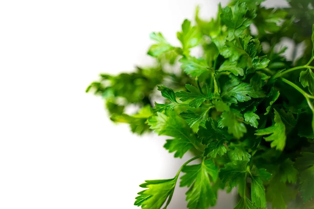 Comment impliquer vos enfants dans la cuisine familiale