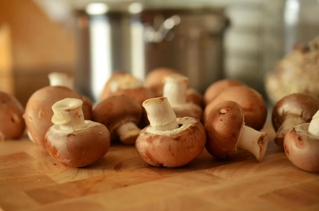 Comment cuisiner des recettes familiales simples et amusantes