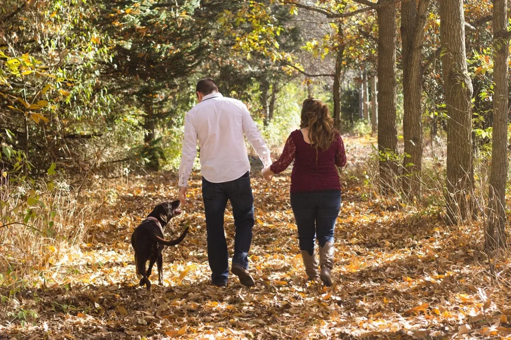6 façons de renforcer le lien parent-enfant